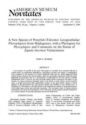A New Species of Ponyfish (Teleostei, Leiognathidae, Photoplagios) from Madagascar, with a Phylogeny for Photoplagios and Comments on the Status of Equula Lineolata
