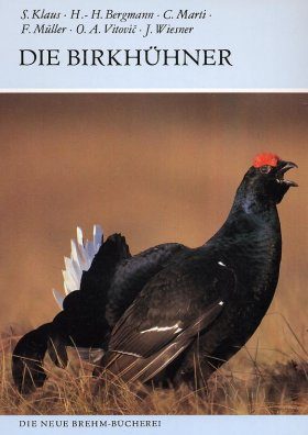 Die Birkhühner (Black Grouse)