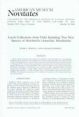 Leech Collections from Chile Including Two New Species of Helobdella (Annelida, Hirudinida)