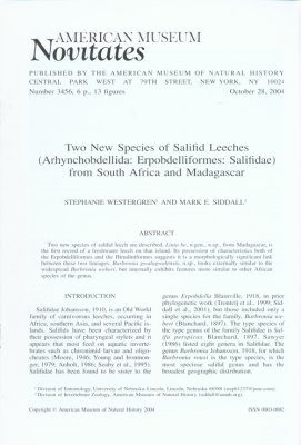 Two New Species of Salifid Leeches (Arhynchobdellida, Erpobdelliformes, Salifidae) from South Africa and Madagascar