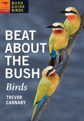 Beat About the Bush: Birds