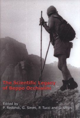 The Scientific Legacy of Beppo Occhialini