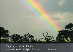A Journey towards the Light of Doñana / Viaje a la Luz de Doñana