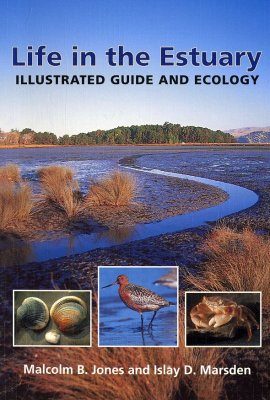 Life in the Estuary