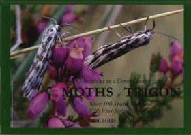 Moths of Trigon
