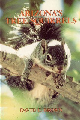Arizona's Tree Squirrels