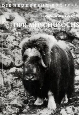 Der Moschusochs (Muskox)