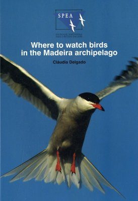 Where to Watch Birds in the Madeira Archipelago