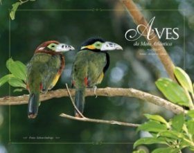 Birds of the Atlantic Forest / Aves da Mata Atlântica