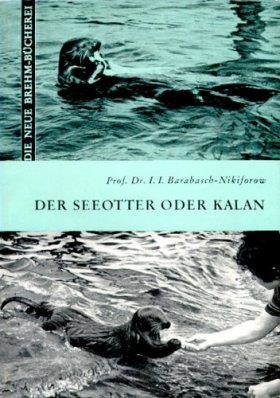 Der Seeotter oder Kalan (Sea Otter)