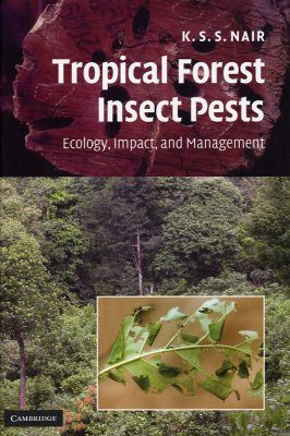 Tropical Forest Insect Pests