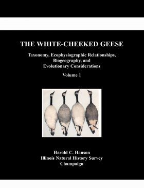 The White-Cheeked Geese