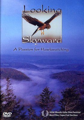 Looking Skyward (Region 1)