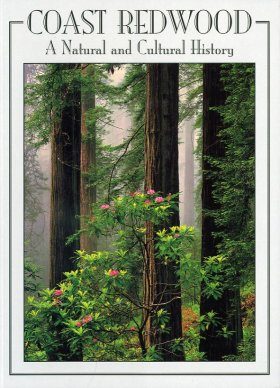 Coast Redwood