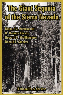 The Giant Sequoia of the Sierra Nevada