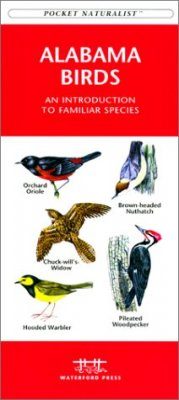 Alabama Birds