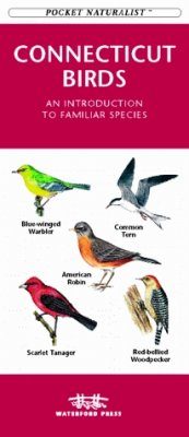 Connecticut Birds