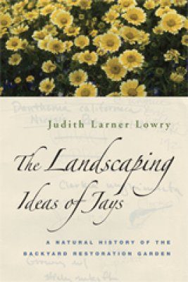 The Landscaping Ideas of Jays