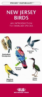 New Jersey Birds