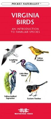 Virginia Birds