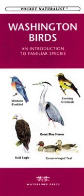 Washington Birds