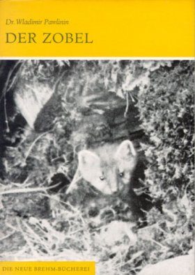 Der Zobel (Sable)