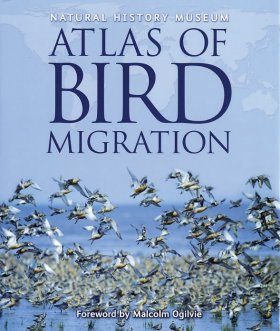 Atlas of Bird Migration