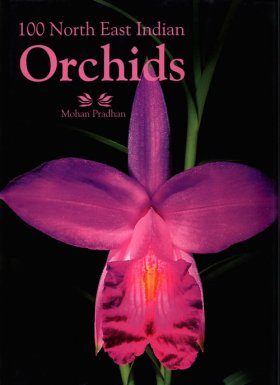 100 North East Indian Orchids