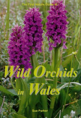 The First Nature Guide to Wild Orchids in Wales