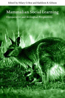 Mammalian Social Learning