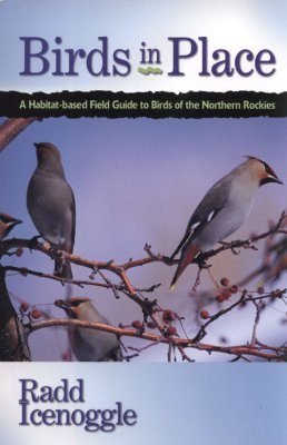 Birds in Place