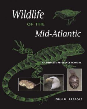 Wildlife of the Mid-Atlantic