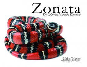 Zonata: The California Mountain Kingsnake