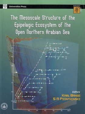 The Mesoscale Structure of the Epipelagic Ecosystem of the Open Northern Arabian Sea