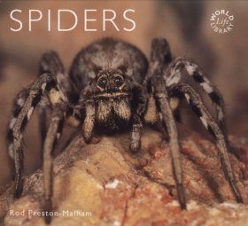 Spiders