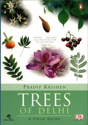Trees of Delhi