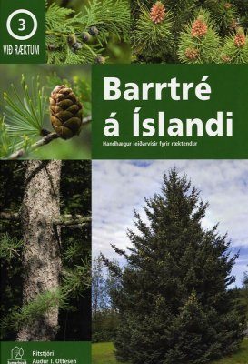 Barrtré á Islandi