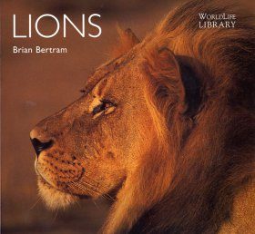Lions