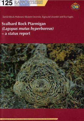 Svalbard Rock Ptarmigan (Lagopus mutus hyperboreus)