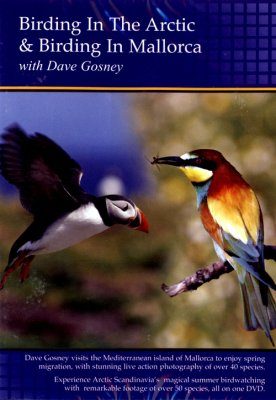 Birding in the Arctic & Birding in Mallorca (Region 2)