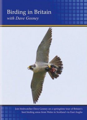 Birding in Britain (Region 2)