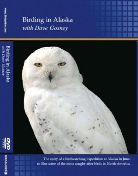 Birding in Alaska (Region 2)