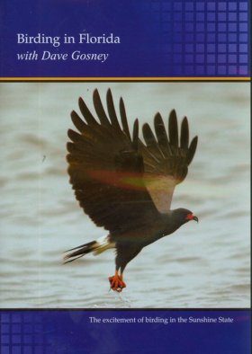 Birding in Florida (Region 2)