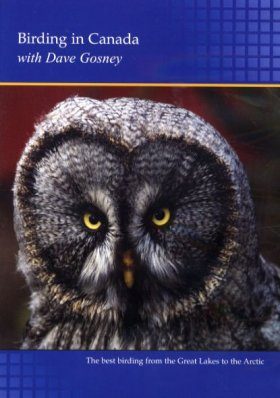 Birding in Canada (Region 2)