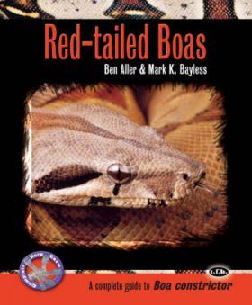 Red-Tailed Boas