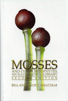 Mosses and Other Bryophytes