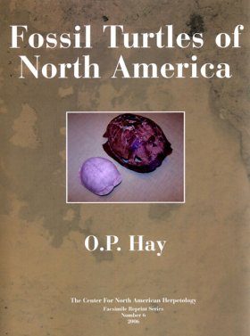 Fossil Turtles of North America