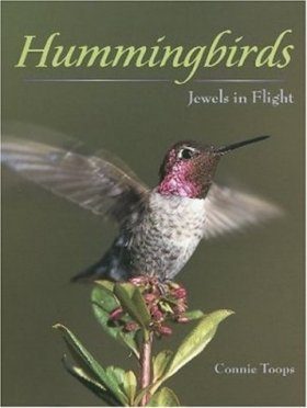 Hummingbirds: Jewels in Flight