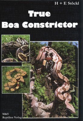 True Boa Constrictor