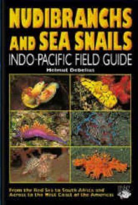 Nudibranchs and Sea Snails